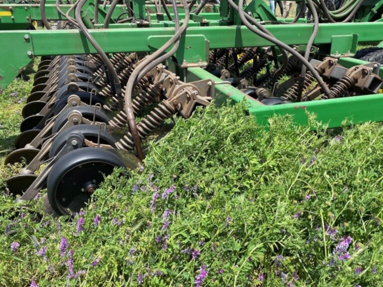 La agricultura regenerativa es posible para mejorar el rendimiento a largo plazo y reducir las emisiones