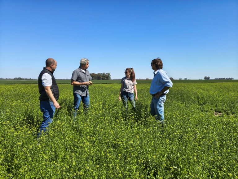 El «chamuyo» de la agricultura regenerativa empieza a pagar en dólares crocantes