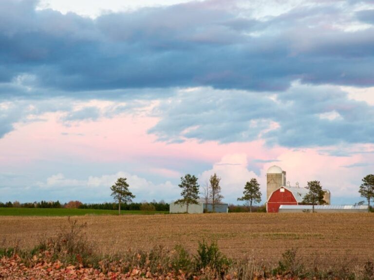 La naturaleza es amenazada por una producción agroalimentaria de tipo industrial