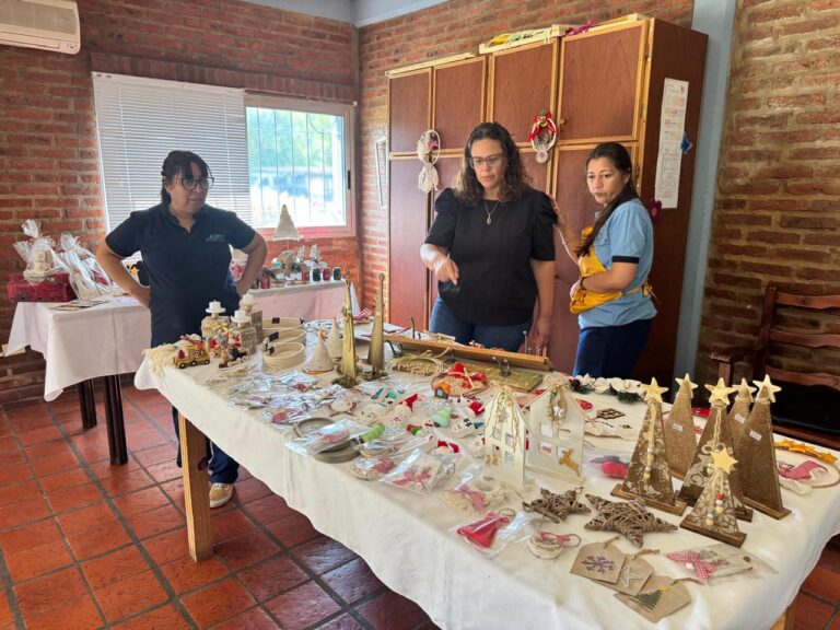 APID realizará una feria navideña  en la Semana de la Discapacidad