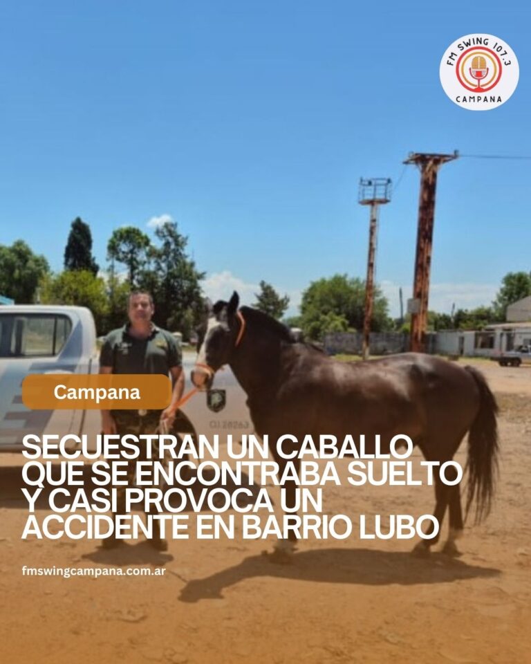 Secuestran un caballo que se encontraba suelto y casi provoca un accidente en barrio Lubo