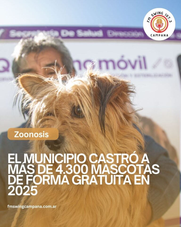 El Municipio castró a más de 4.300 mascotas de forma gratuita en 2025