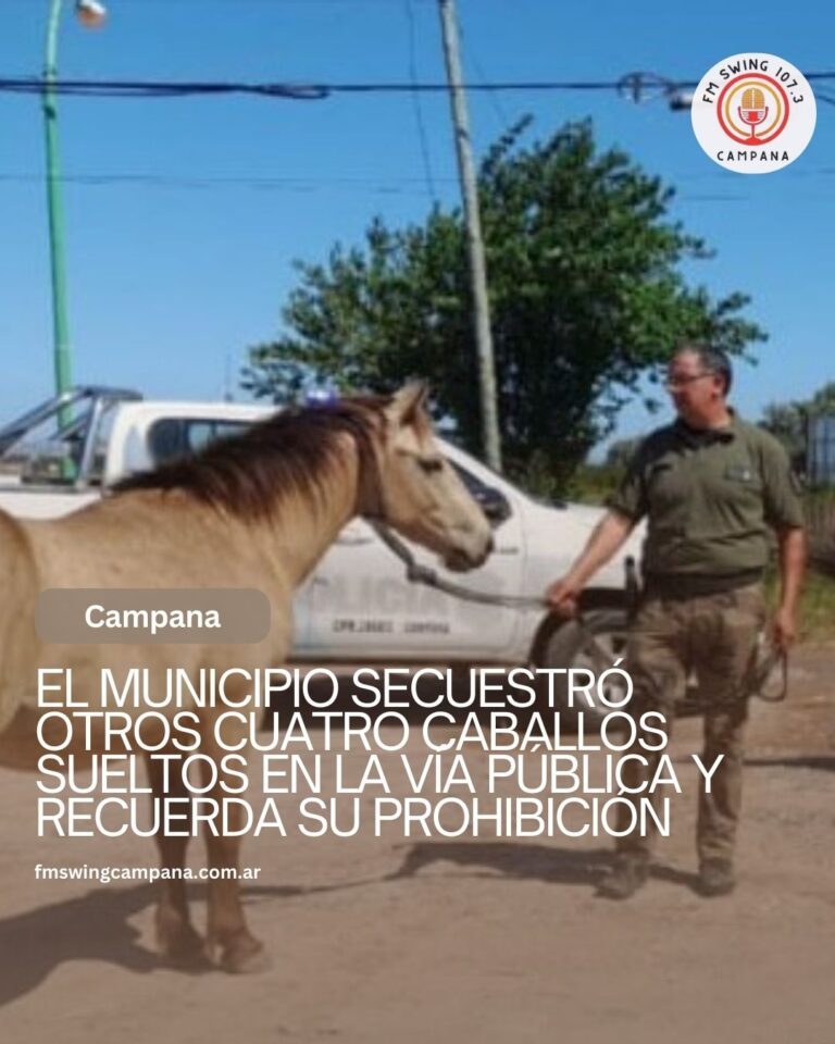 El Municipio secuestró otros cuatro caballos sueltos en la vía pública y recuerda su prohibición