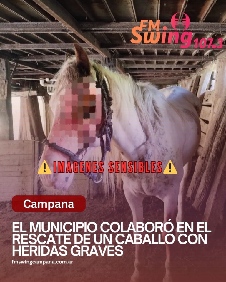 El Municipio colaboró en el rescate de un caballo con heridas graves