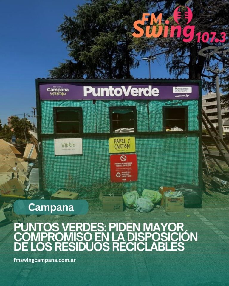 Puntos Verdes: piden mayor compromiso en la disposición de los residuos reciclables