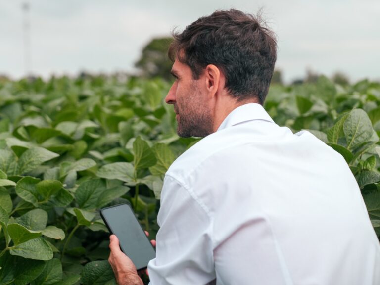 BASF mostró en San Jerónimo Sud su paquete tecnológico para potenciar la rentabilidad de los cultivos