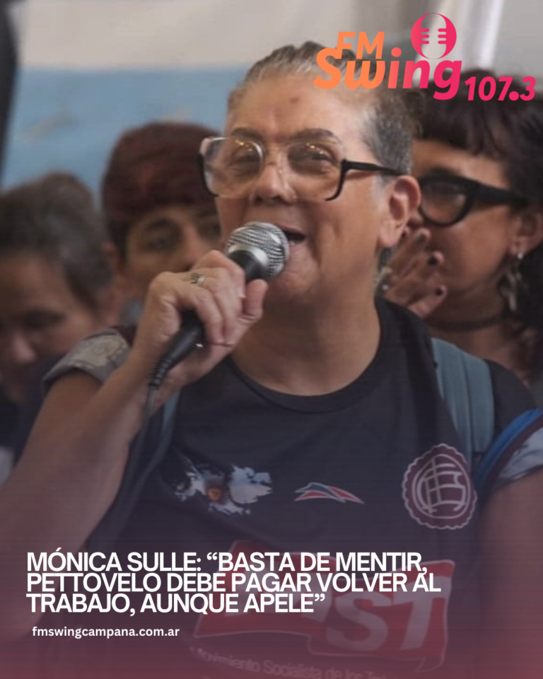 Mónica Sulle: “Basta de mentir, Pettovelo debe pagar Volver al Trabajo, aunque apele”
