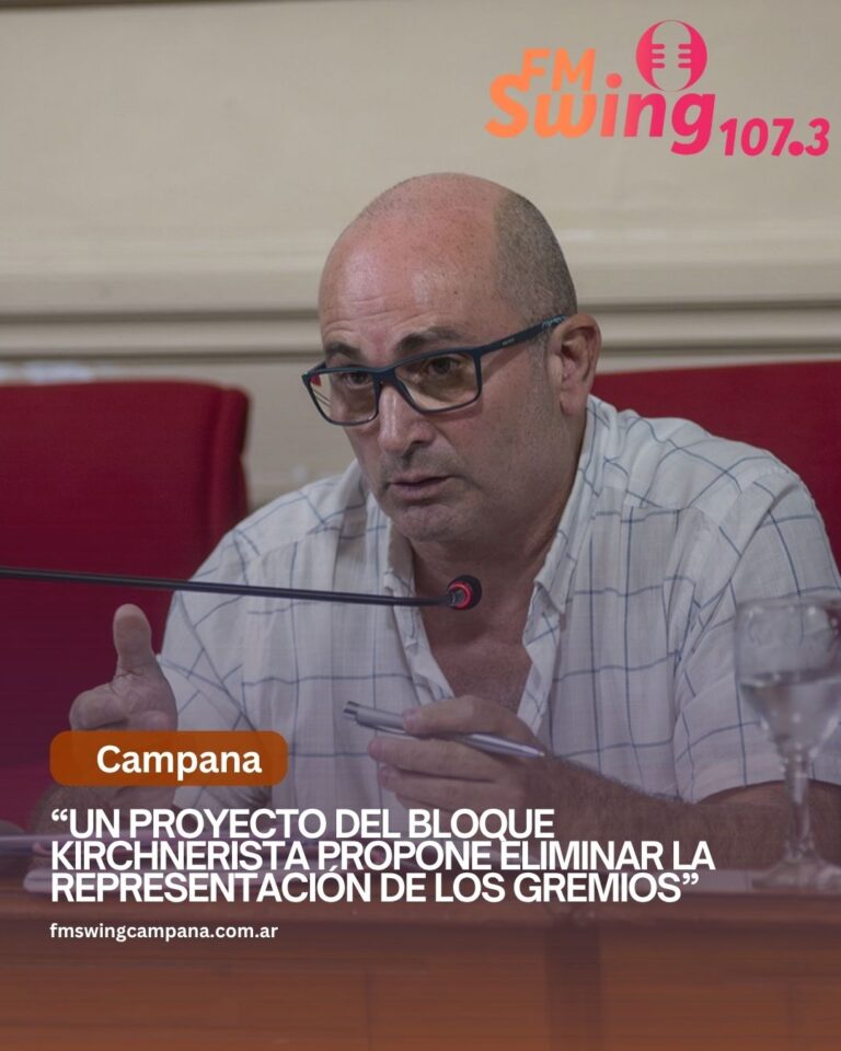 “Un proyecto del bloque kirchnerista propone eliminar la representación de los gremios”
