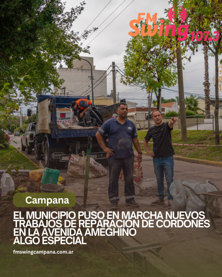 El Municipio puso en marcha nuevos trabajos de reparación de cordones en la avenida Ameghino