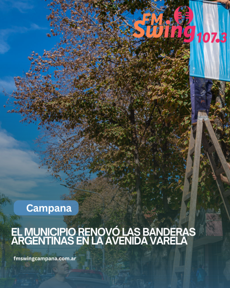 El Municipio renovó las banderas argentinas en la avenida Varela