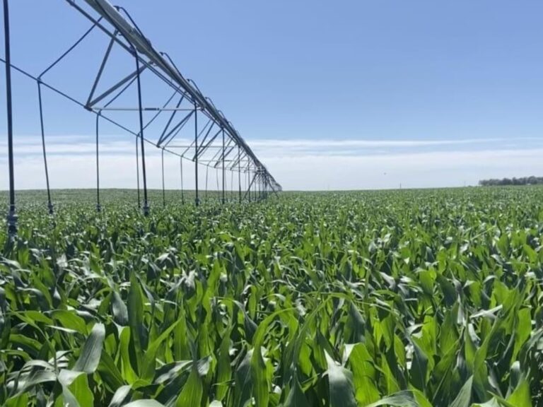 ondas impositivas favorables para el agro