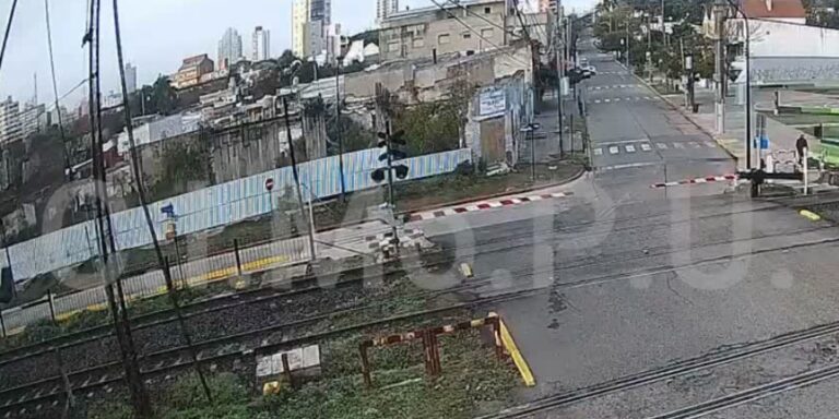 LA PATRULLA URBANA DEL MUNICIPIO DETUVO A OTRO ROBAMEDIDORES fmswingcampana.com.ar