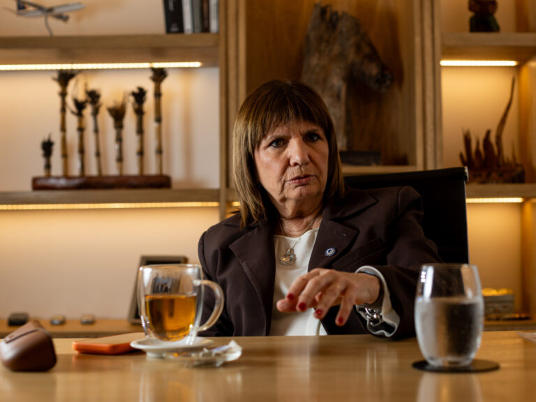 Después de la reelección de Milei, quiero ser presidenta