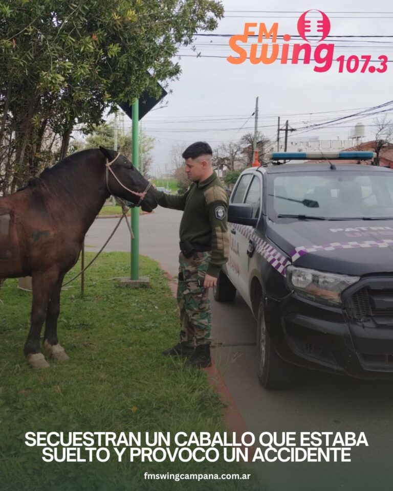 Secuestran un caballo que estaba suelto y provocó un accidente