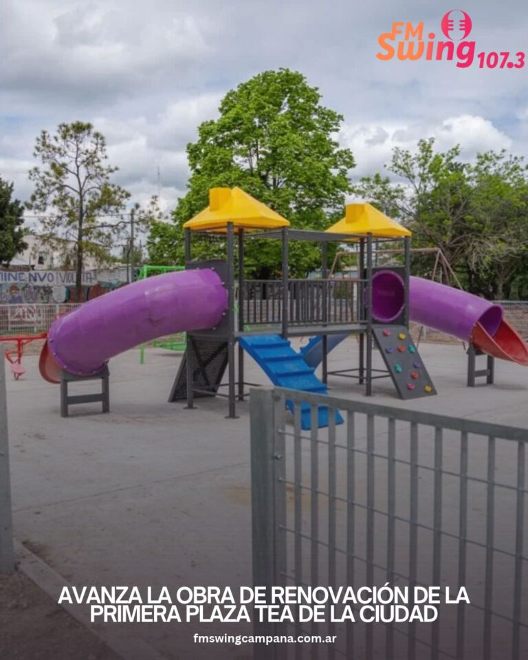 Avanza la obra de renovación de la primera plaza TEA de la ciudad